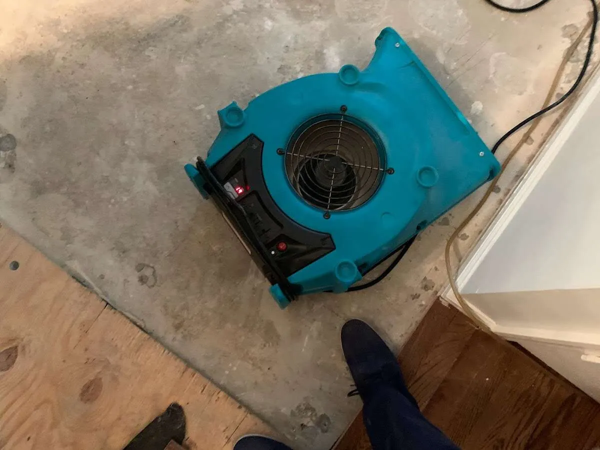Air mover drying subfloor during Leak Detection & Repair in Orrville